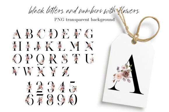 Alphabet, Letters and Numbers Flowers Graphics