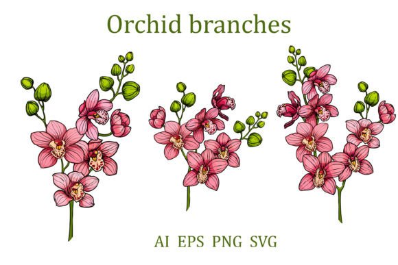 Branches of Orchids Flowers: Graphics and Illustrations for Local Branding
