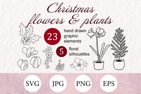 Christmas Ornamental Flowers and Plants Graphics
