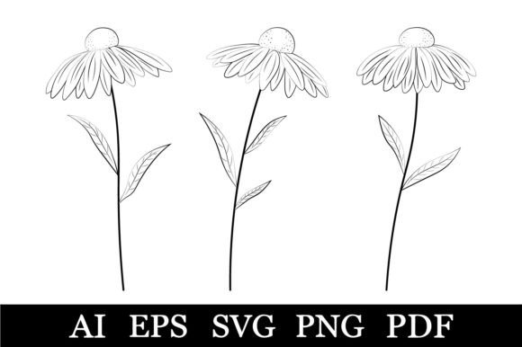 Flowers Coloring. Daisies Graphic
