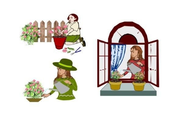 Graphics for Growing Roses