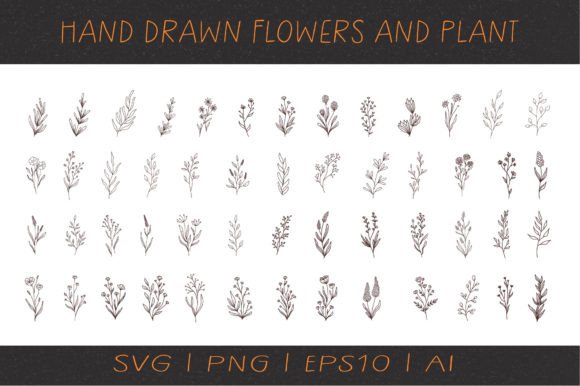 Hand Drawn Flowers and Plant Graphics