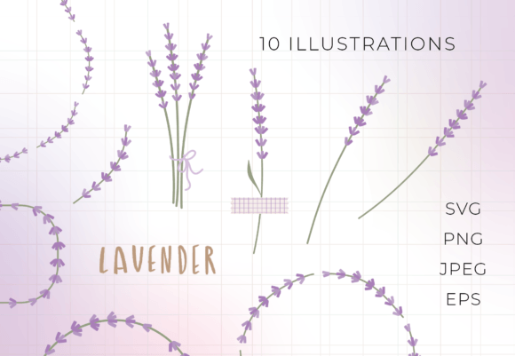 Lavender Flowers 10 Illustrations