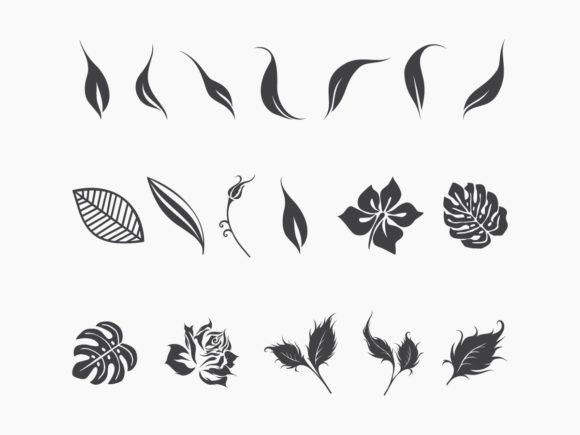 Leaves and Flowers Vector Illustration Graphics