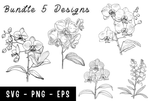 Orchid Flower Svg, Flowers Svg Bundle