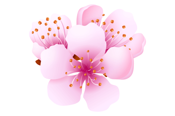Sakura Blossom: Graphics for Real Crafting