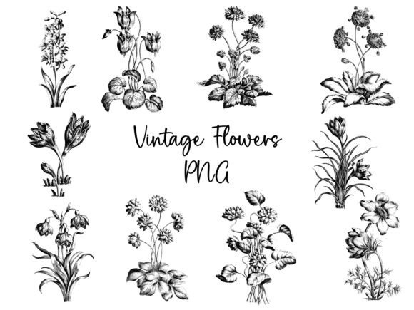 Vintage Flowers PNG for Creative Design