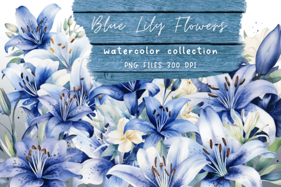 Watercolor Lily Blue Flowers: Graphics for Creative Design